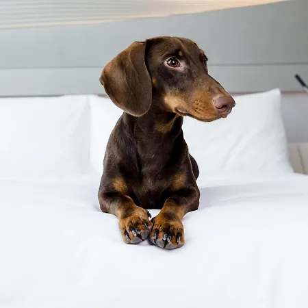 Innside Orly 4* San Sebastian