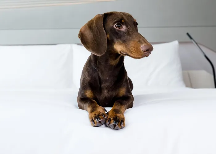 Innside Orly 4* San Sebastian